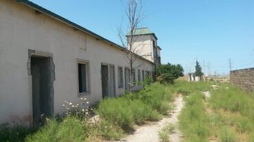 Torpaq sahələrinin satışı: 200 sot, Tikinti, Makler, Kupça (Çıxarış) — 25