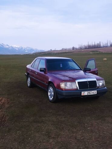 Mercedes-Benz 230: 1989 г., 2.3 л, Механика, Бензин, Седан