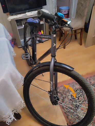 rfeng bike: Fat Bike 29"