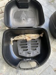 Ostali motocikli i skuteri: Veci kofer sa kljucem - 3000 Rsd Manji kofer sa kljucem - 2500 — 11