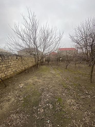 Torpaq sahələrinin satışı: Tikinti — 6