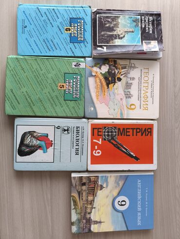 выписка с роддома: Книги за 5-9 классы