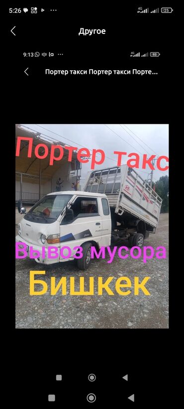шотландская короткошерстная кошка: Вывоз мусора Вывоз строй мусора Вывоз мусора Вывоз мусора Вывоз мусора