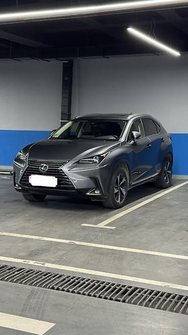 byd e3: Lexus NX: 2020 г., Гибрид, Кроссовер — 3