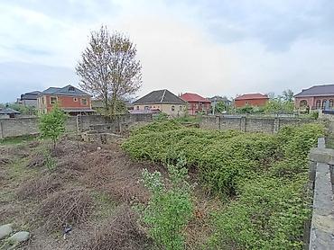 Torpaq sahələrinin satışı: 6 sot, Tikinti, Mülkiyyətçi, Texniki pasport — 5