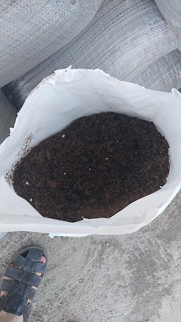 torf nerede satılır: Torf balaken 10/12kq torf 50kilo250litrxarici olkenn mehsulu ekolay — 3