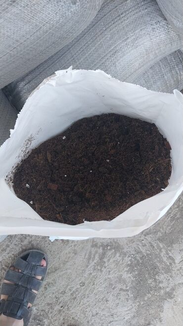 Torf: Torf gubrrlesin. satişi torf 250 litrlik torf balaken ekolayf torf 20 — 3