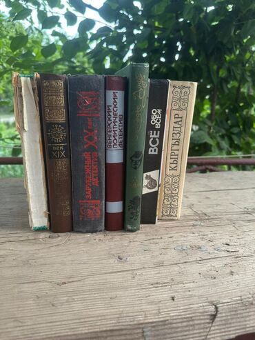 Художественная литература: Классика, На русском языке — 21