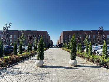 Кыймылсыз мүлк: Студия, 29 м², Жеке план, 3 кабат, Дизайнердик оңдоо — 6