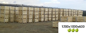 Drvena građa, šperploča: Box palete - sanduci za voće i povrće ‼box palete‼ ‼drvene palete‼ — 12