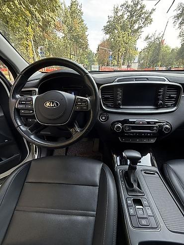 jac s7: Kia Sorento: 2019 г., 2.2 л, Автомат, Дизель, Кроссовер — 8