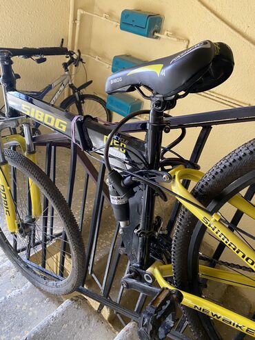 29 velosiped qiymetleri: Dağ velosipedi 29"