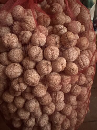 где продаётся дубайский шоколад в бишкеке: Грецкий орех в скорлупе. Крупные ядра, без горечи