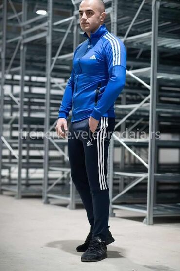 luminarc set: Set, 2XL (EU 56), L (EU 52), M (EU 50), Adidas, color - Blue, Lycra