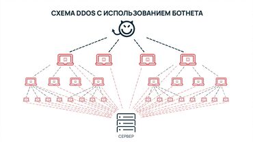 услуги баера: DDOS на любой сайт. работаем строго по предоплате, но можем уронить