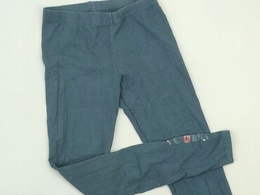 Sweatpants: Sweatpants, Lincoln & Sharks, 14 years, 164, condition - Good