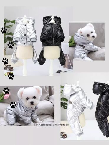 карликовые собаки: Комбинезон зимний (размер- xL в наличии 2 расцветки черный, серебро