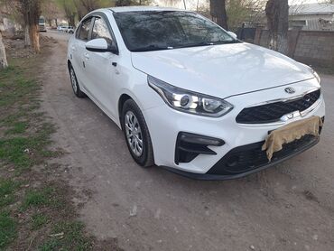 Kia: Kia K3: 2020 г., 1.6 л, Автомат, Бензиновая, Седан at lalafo.kg — 2 Kia: Kia K3: 2020 г., 1.6 л, Автомат, Бензиновая, Седан — 2
