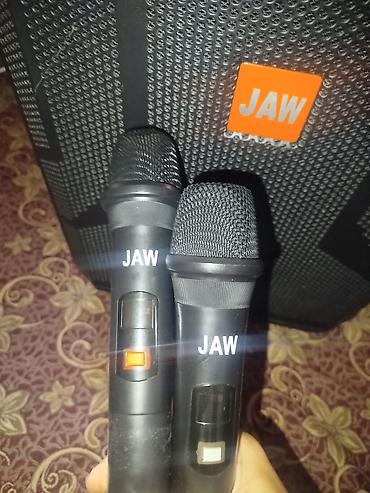 микрофон джай: Портативная акустическая система JAW с двумя беспроводными — 5