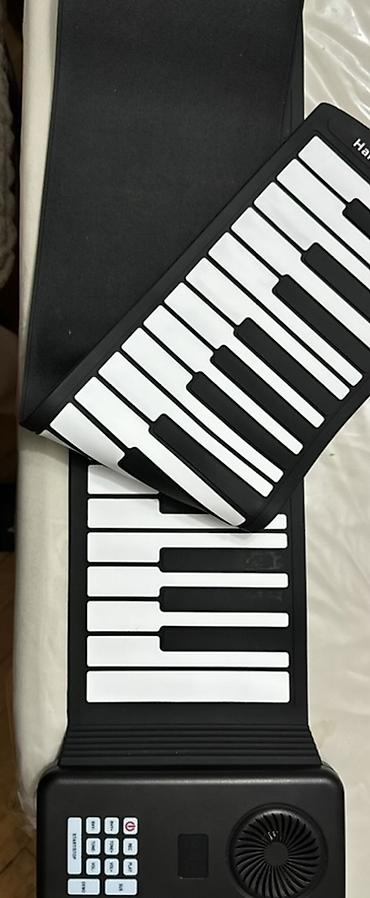 mini piyano: 88 klavişli, Portativ roll-up piano (qatlanan elektron klavişli musiqi — 2