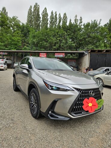 крыло марк 2: Lexus NX: 2022 г., 2.4 л, Автомат, Бензин, Внедорожник