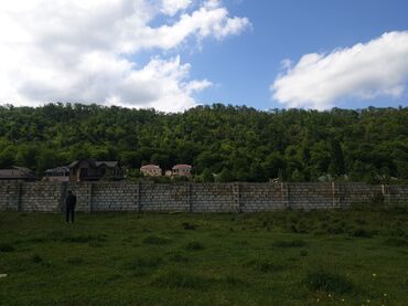 Torpaq sahələrinin satışı: 15 sot, Kənd təsərrüfatı, Mülkiyyətçi, Kupça (Çıxarış) — 28