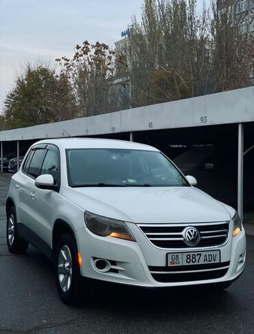 купить авто в рассрочку: Volkswagen Tiguan: 2009 г., 2 л, Автомат, Бензин, Универсал