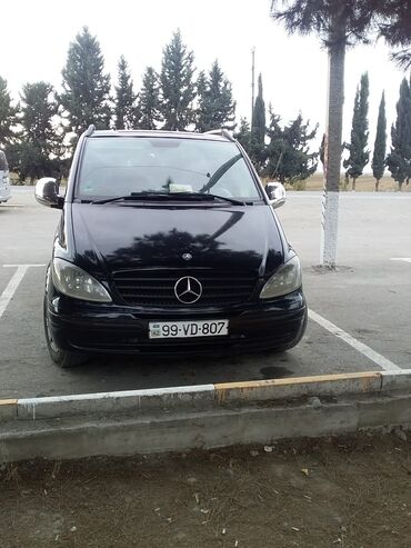 vito 115: Mercedes-Benz Vito: 2.2 l. | 2008 il | Van/Minivan