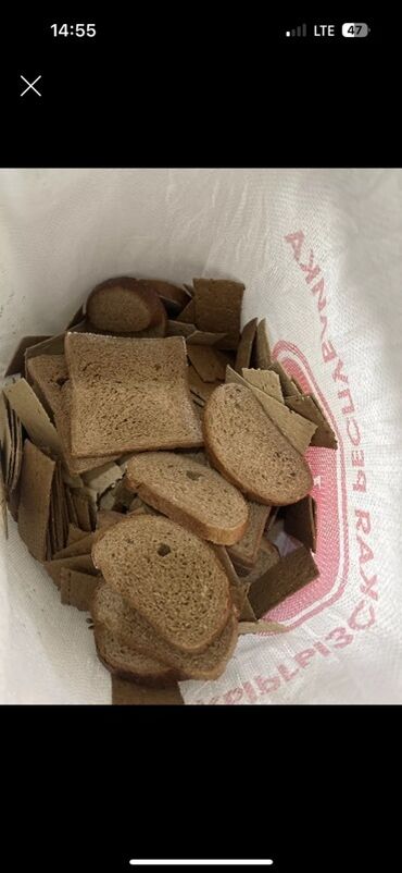 жумуртка бастырганга: Хлеб 🥖 куплю просроченный