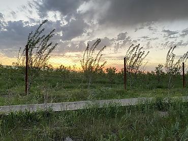 7 соток, Белек келишими, Кызыл китеп, Техпаспорт — 7