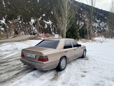 Mercedes-Benz: Mercedes-Benz W124: 1993 г., 2.2 л, Автомат, Бензин, Седан