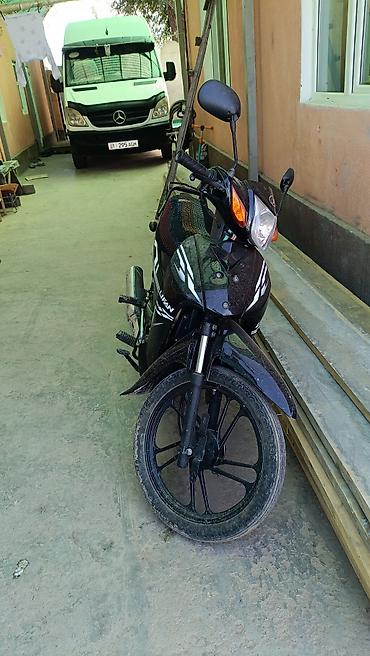 diska r13: Lifan Alpha (дельта-байк/куб), городской мопед - Тип: мопед/скутер в — 2