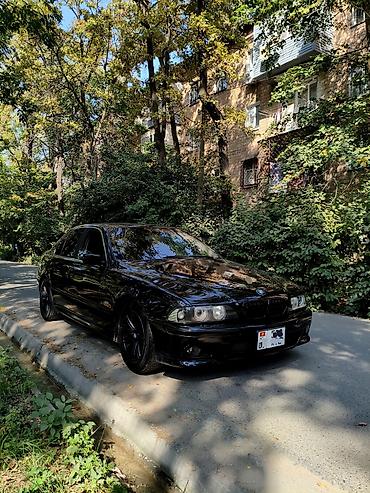 m3 e46: BMW 5 series: 2002 г., 2.5 л, Механика, Бензин, Седан — 4