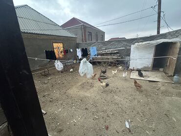 Köhnə tikili: Satılır: Mənzil (şəkillərdə göstərilən) - Plan: 2 otağa çevrilə — 30