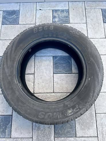 2 2 sdi: Зимняя шина TRAMPIO BS68 - Тип: зимняя (символы снежинки и горной — 2