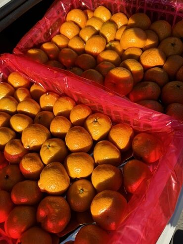 Мандарины: Мандарины — 9