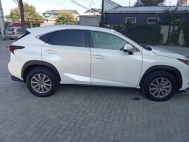 Lexus: Lexus NX: 2020 г., 2 л, Автомат, Бензин, Кроссовер — 7