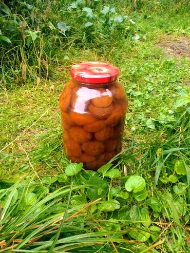 qara cins pencekler: Əncir mürəbbəsi 2 kg 🌿 🏞️ Şəki rayonunda ev şəraitində hazırlanır 💯 %