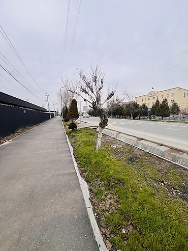 Продажа зданий: Здание, 340 м² — 11