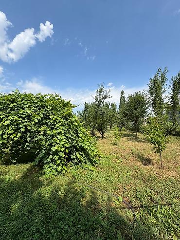 Продажа коттеджей и домов: 3 комнаты, 72 м², 11 соток, Кызыл-Туу, Агентство недвижимости — 13