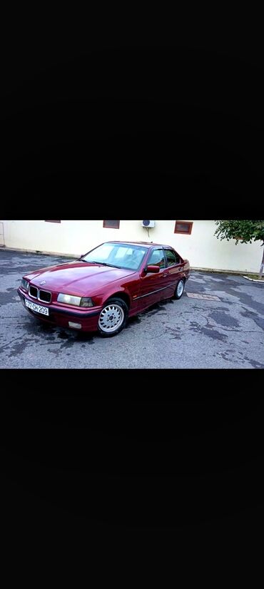 BMW: BMW 316: 1.8 l | 1992 il Hetçbek — 4