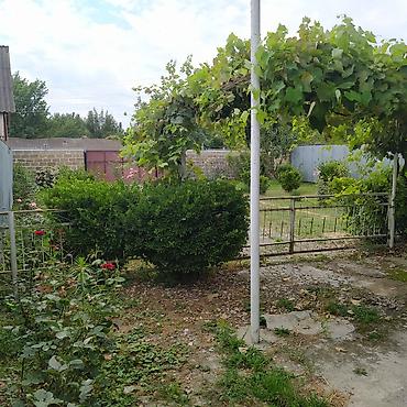 аренда дачи в баку: 3 комнаты, 120 м², Нет кредита, Средний ремонт — 10