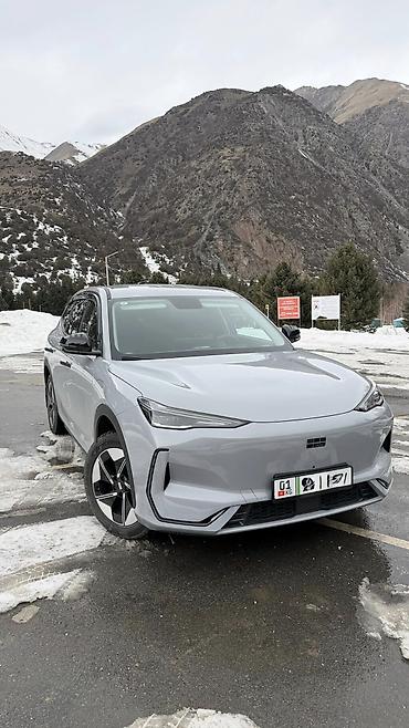 Geely: Geely : 2025 г., Электромобиль, Кроссовер — 6