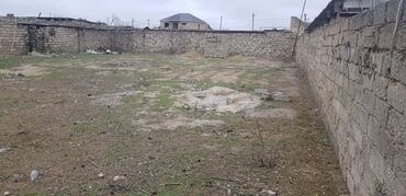 купить земельный участок в баку: 6 соток, Для сельского хозяйства, Возможен обмен, Бялядия (муниципалитет)