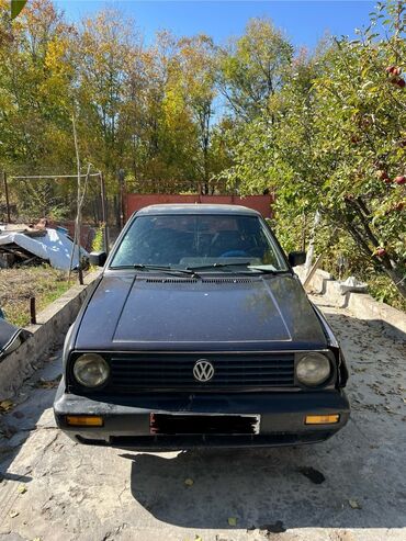 Volkswagen: Volkswagen Golf: 1992 г., 1.8 л, Механика, Бензин, Хэтчбэк