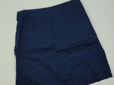 H&M, Women`s skirt, size L (EU 40)