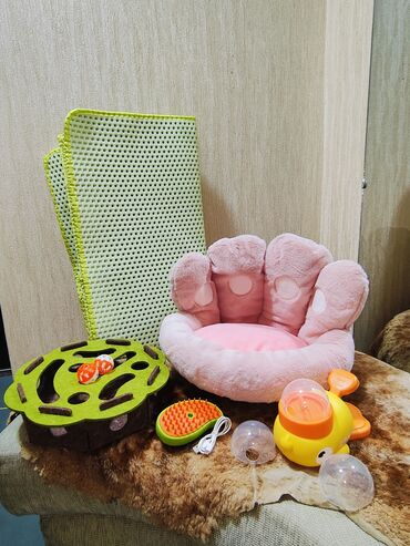 Товары и оборудование для с/х животных: Набор для кота/маленькой собаки, Новый! Весь набор - 2500 с. В — 1