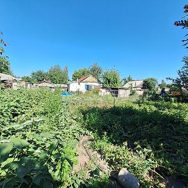 Продажа коттеджей и домов: В самом центре Сокулука СРОЧНО продается дом. 8- соток, в доме — 7