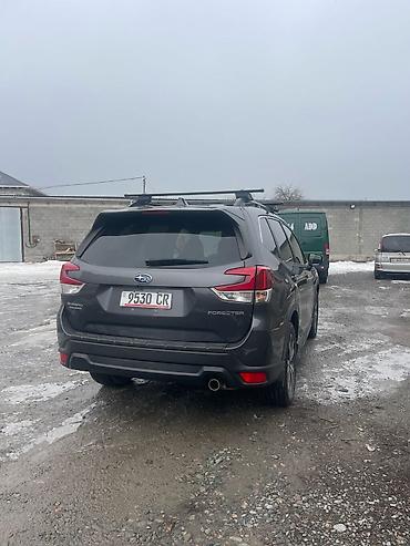 Subaru: Subaru Forester: 2020 г., 2.5 л, Вариатор, Бензин, Кроссовер — 3