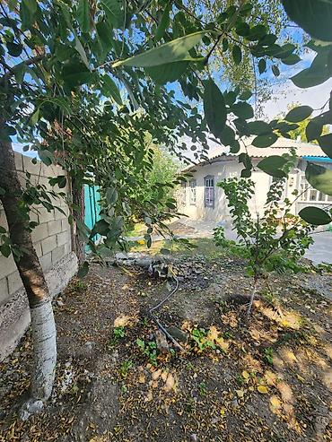 Продажа времянки: 3 комнаты, 63 м², 8 соток, Беловодское, Собственник — 7